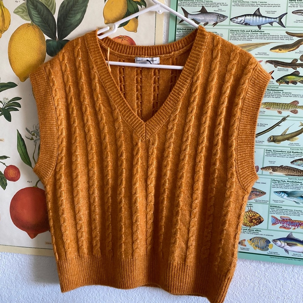Cupcakes and Cashmere size medium soft knit sweater vest